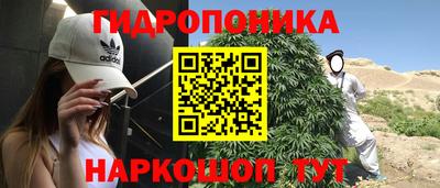 PSILOCYBIN Ликино-Дулёво